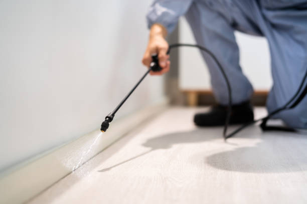 Best Pest Prevention Services  in Hollywood Park, TX
