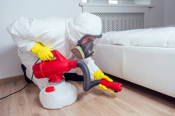 Best Termite Control Services  in Hollywood Park, TX